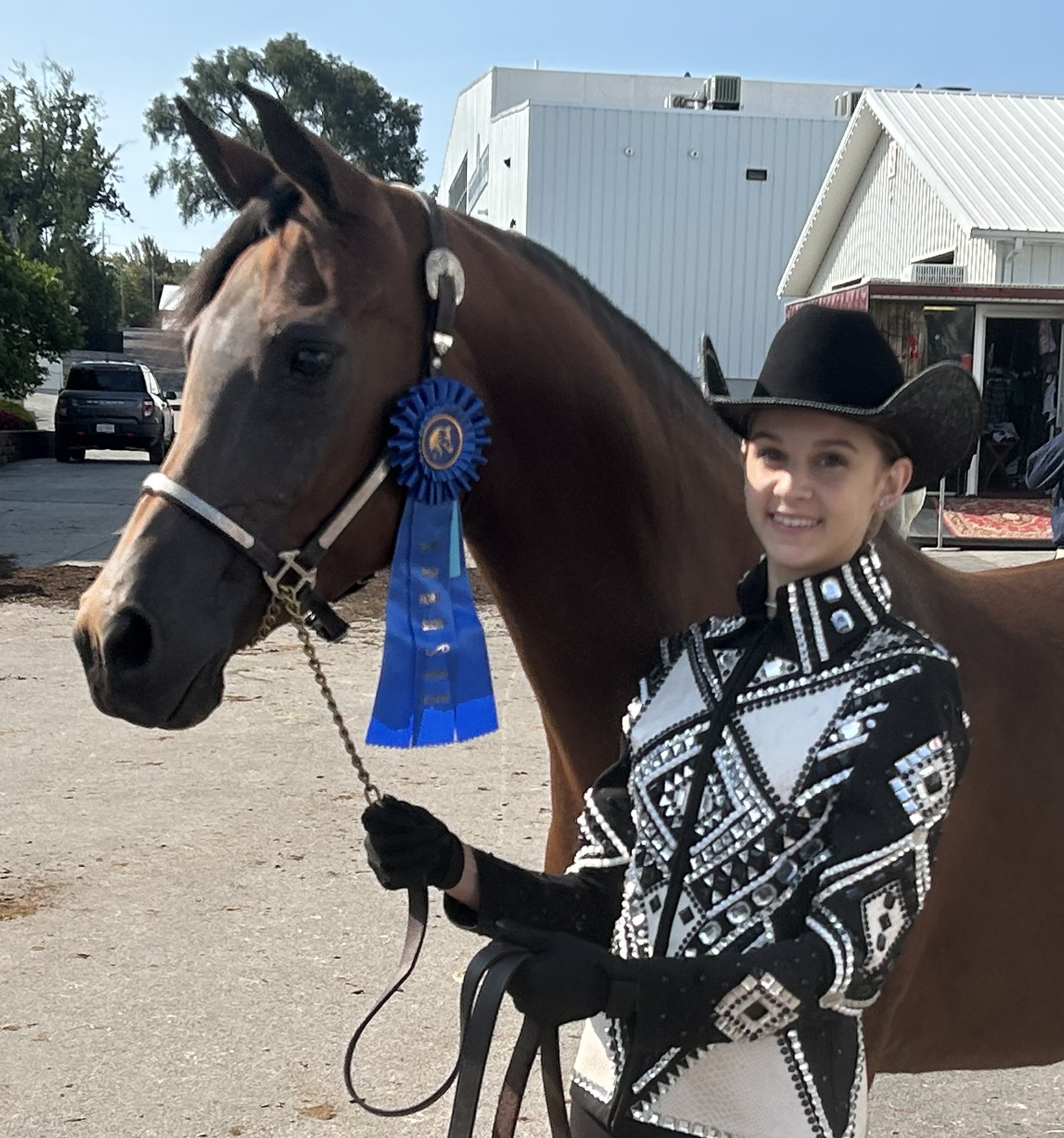 Holt up to challenge at horse show News, Sports, Jobs Observer Today